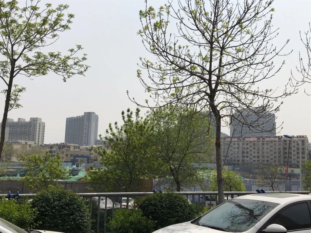 金科集美天宸2021年房价,金科集美天悦是高层吗