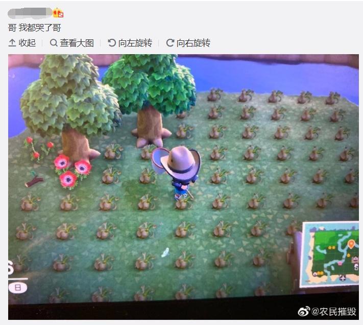 玩动森挣人民币,动森几百万怎么赚