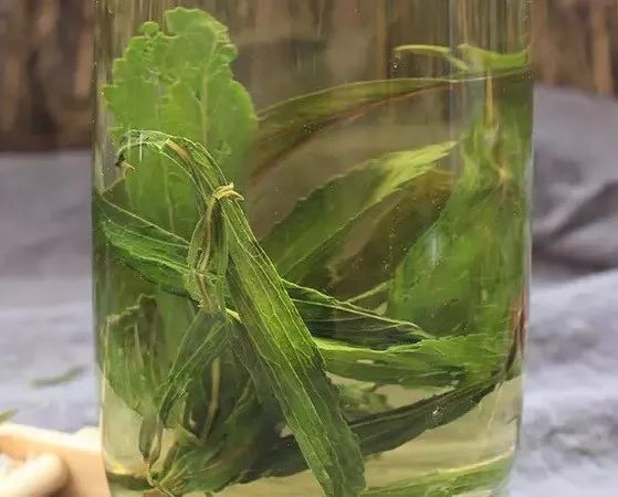 不吃糖大脑挂机？甜食致癌？“抗糖”到底怎么吃