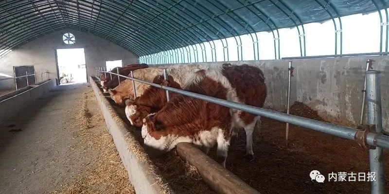 三大会战简介,三大会战方案