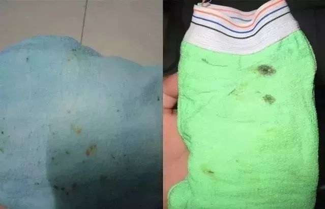 极度舒适!搓泥+起泡,效果赛过100个搓澡大妈!感觉人生到达了高潮