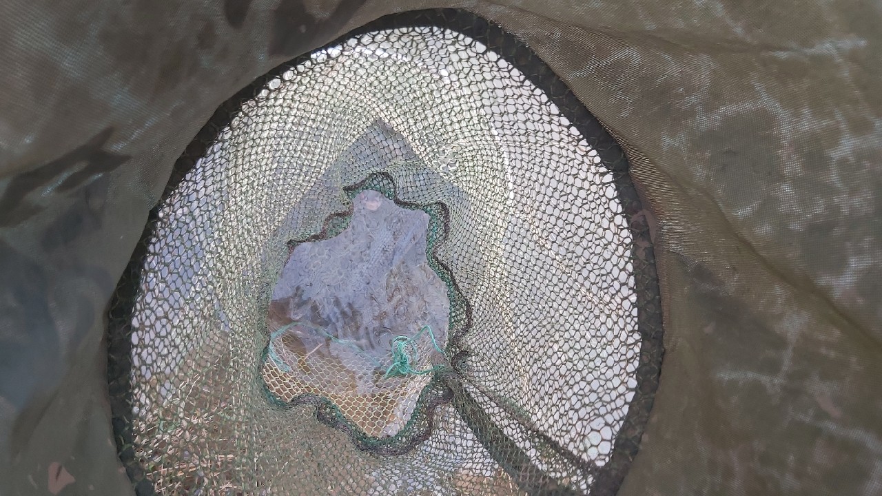 邕江巴西军团覆灭小记,钓友全军出击