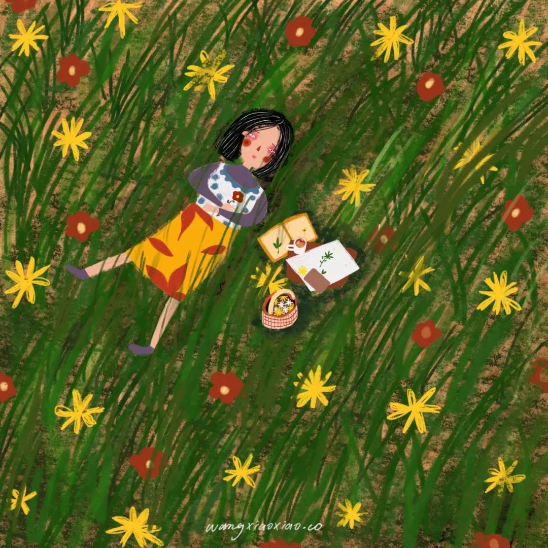 插画师入坑指南菜鸟逆袭,入坑电脑插画