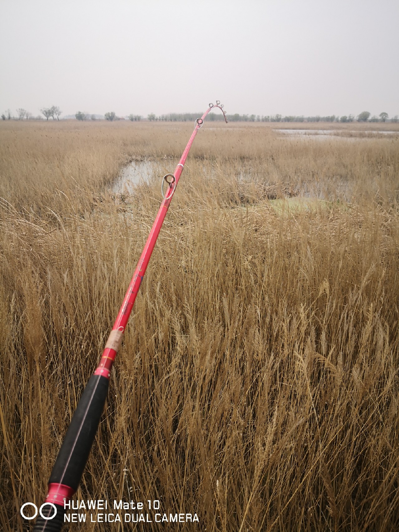 初春打黑雷蛙,开春路亚打黑刺鱼技巧