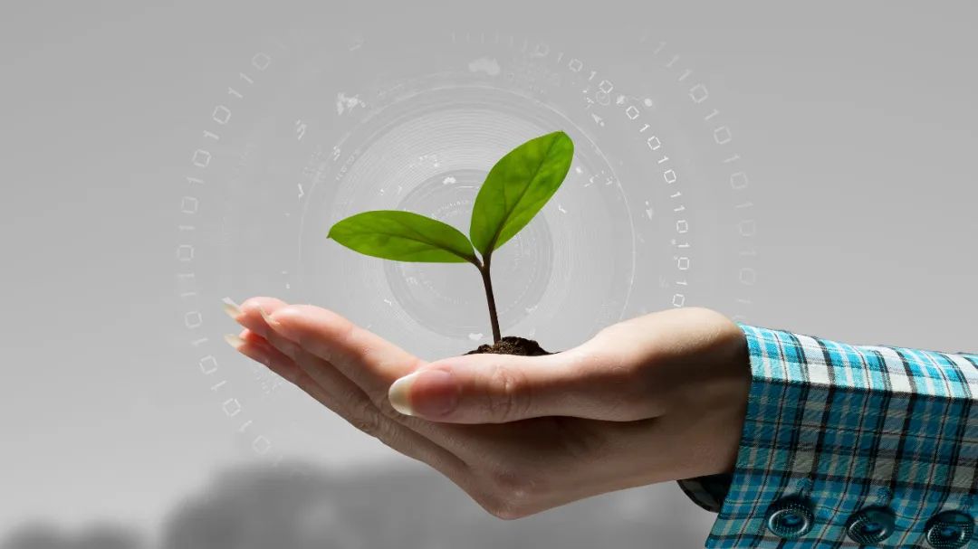 如遇人肉搜索和恶意举报，应当如何法办？解读来了！