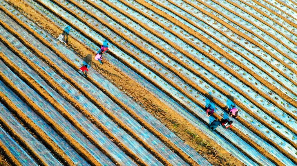 遂宁乡村振兴第一村拱市村,遂宁脱贫攻坚战
