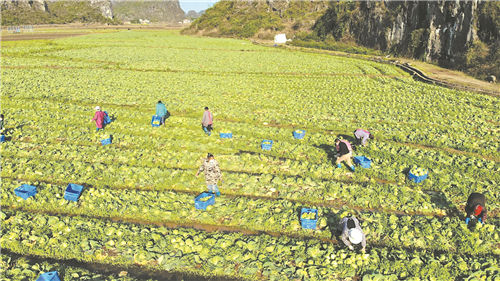 江永重点项目建设,江永市产业项目