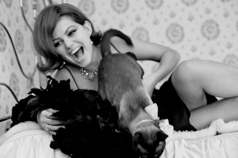 意大利美女是世界最美的吗,意大利美人