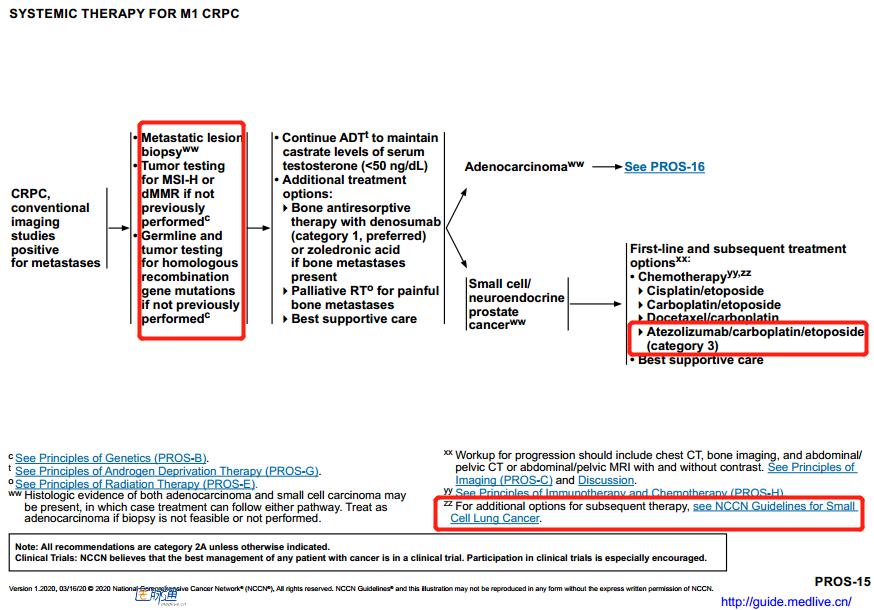 nccn前列腺癌指南中文,2023版前列腺癌诊疗指南