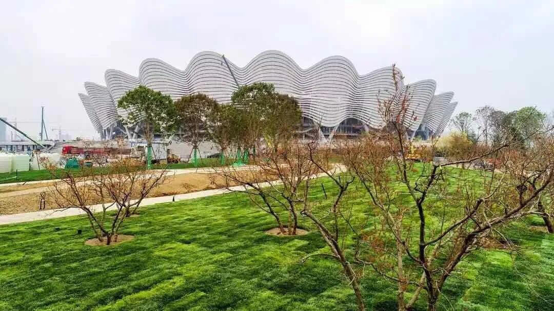 奥体热搜Top8，安安一次全回答～