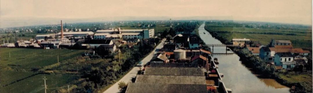 浦东新区曹路镇发展,曹路镇生活日记视频