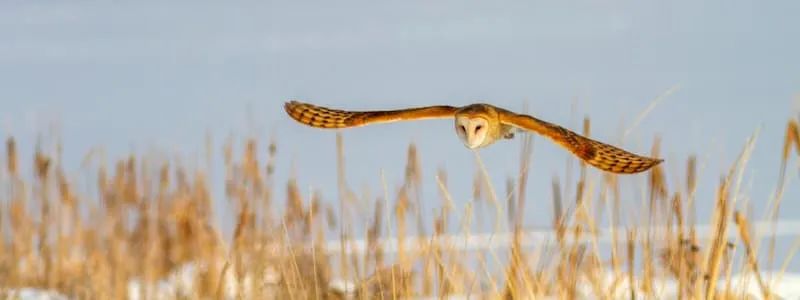 科技爱好者周刊102期,科技爱好者日报