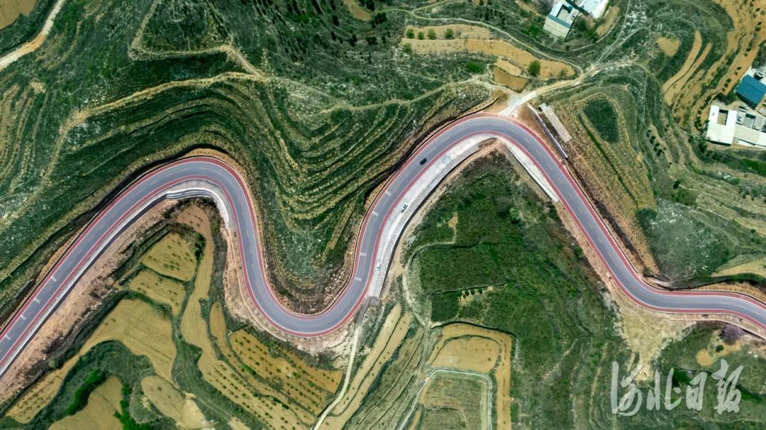 石家庄的春天真的太美啦,石家庄春天看花