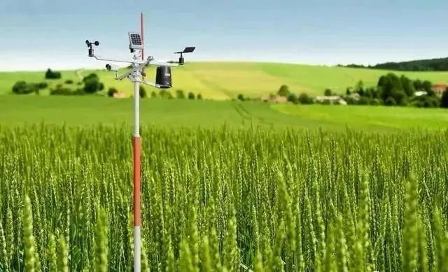 农村农业有效投资政策,农业农村部鼓励投资农业