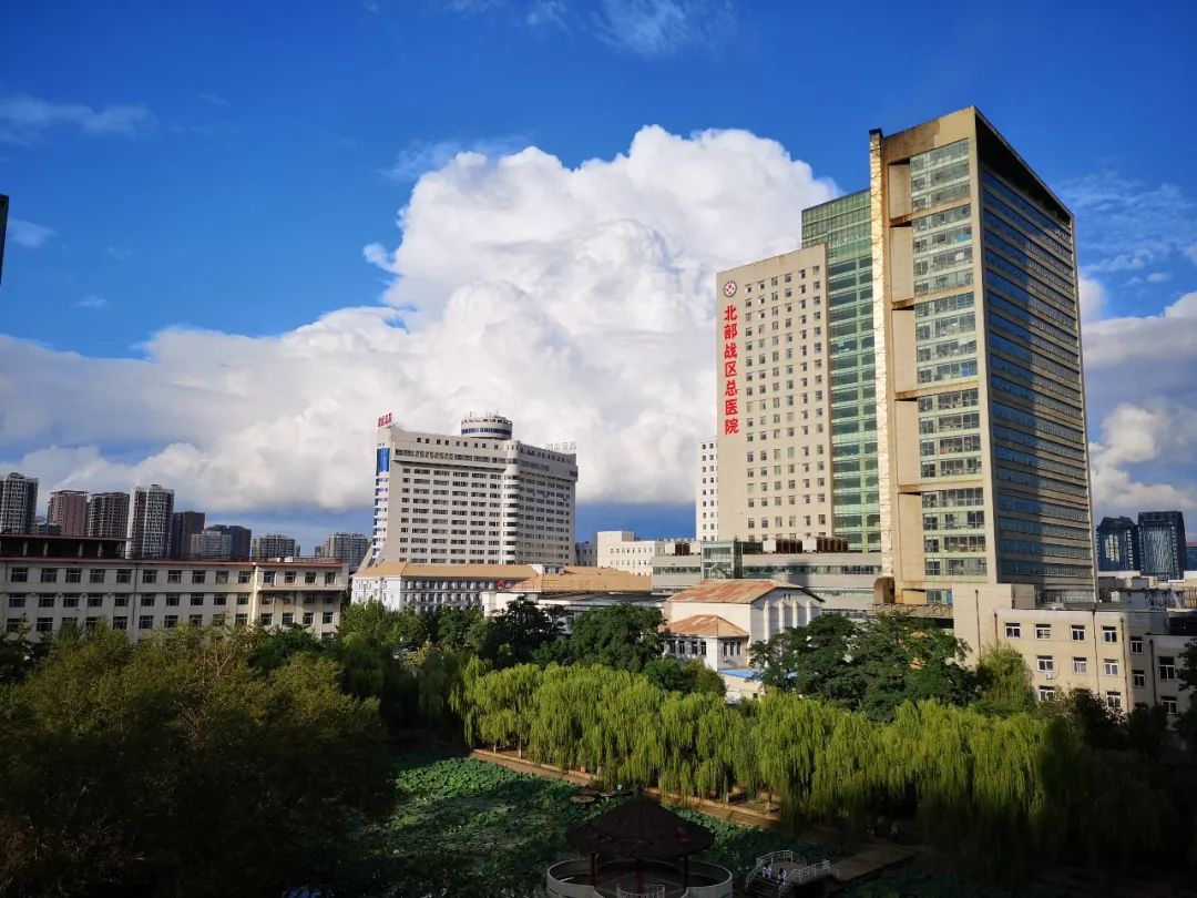 北部战区总医院发布最新通知,北部战区总医院官方网站