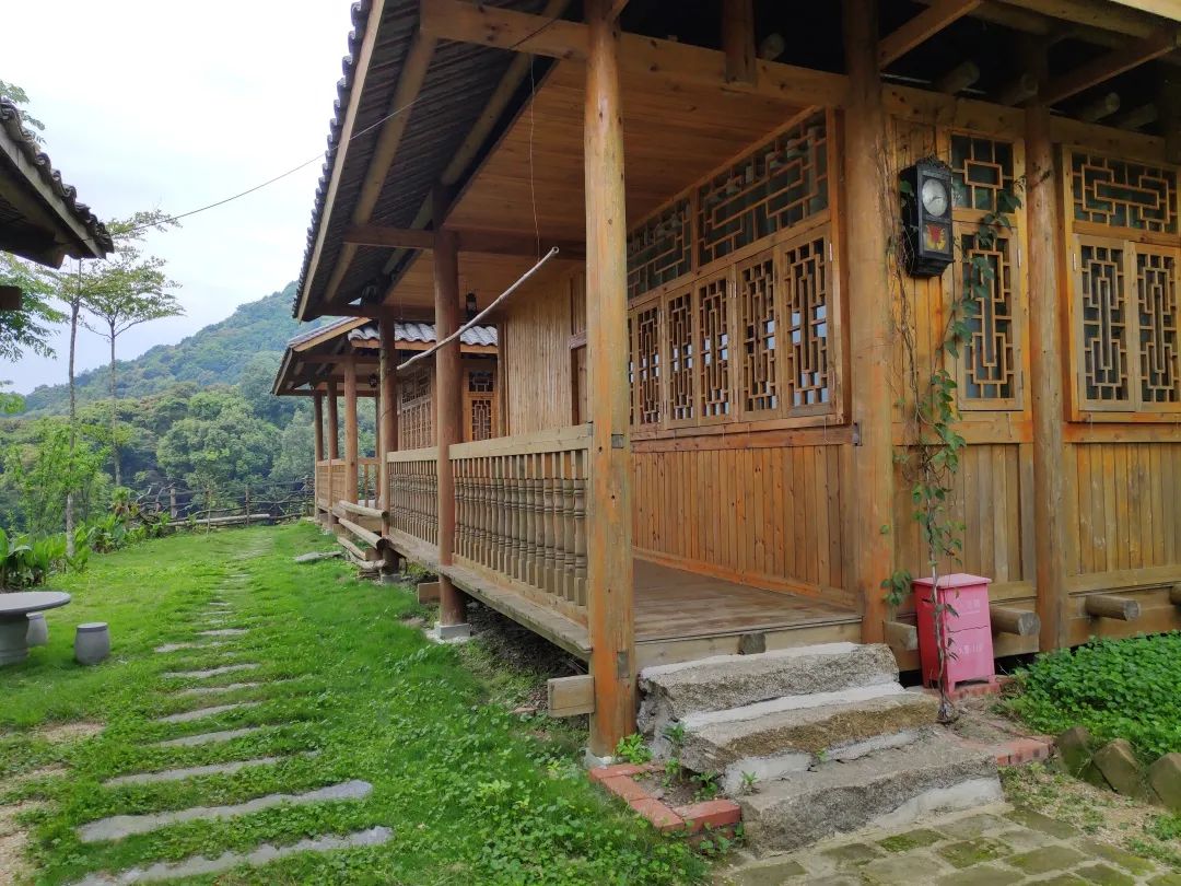 茶香禅韵入梦完整视频,世外桃源神仙度假地