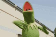 每天在家里抓10多只虫,每天在家里抓10只虫子