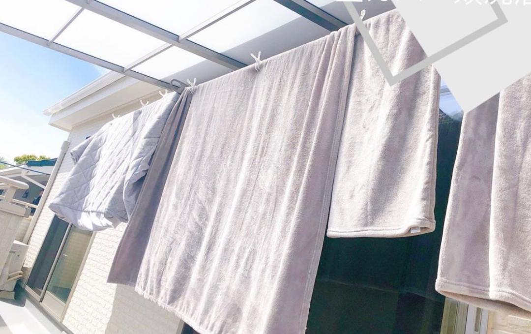 为什么房子里总有小毛毛,为什么房子里面会长蘑菇科学探究