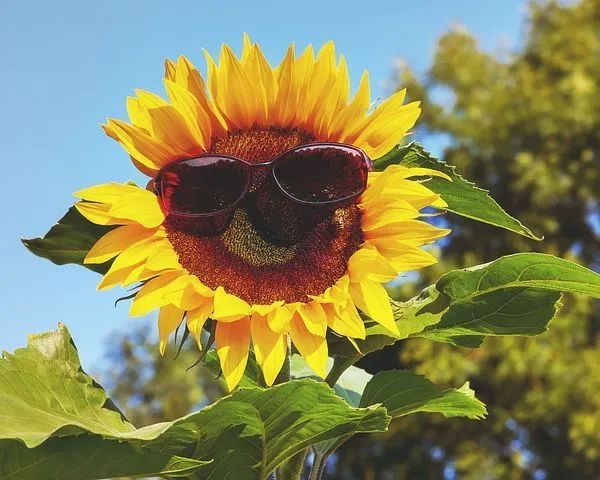 物理防晒（纳米VS非纳米颗粒）和化学防晒的优势劣势