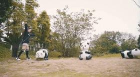 寻找成都100个打卡的地方,成都小众打卡地方推荐