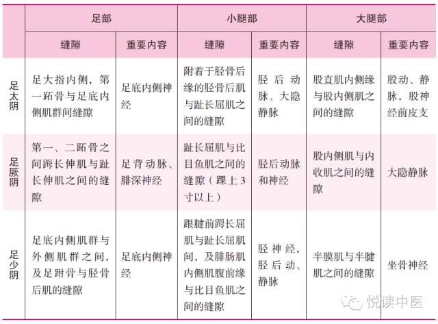 十四经络走向图高清,十四经络走向图