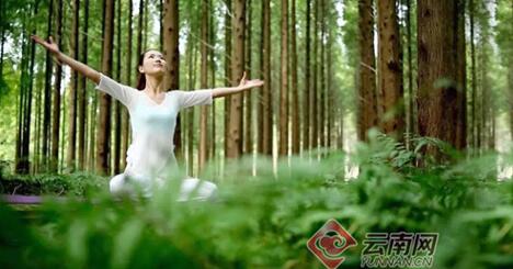 中青国旅云南旅行,云南旅游中青旅行社