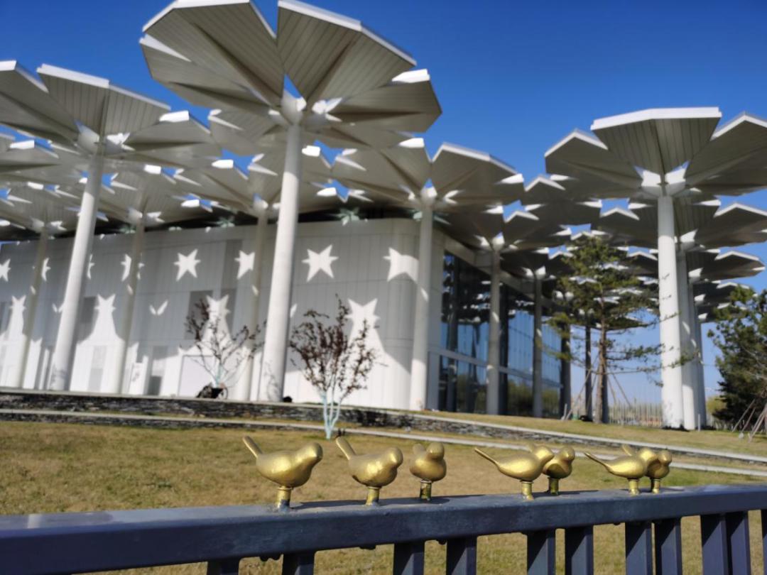 春天游世园地址,春天带你去游玩