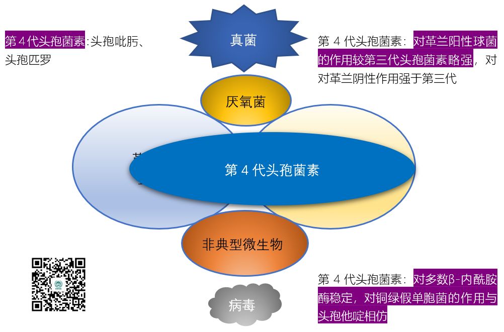 图说抗菌药物的抗菌谱，再也不会记不住了