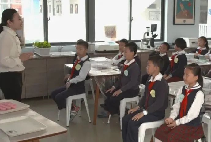 深圳市科高拜仁足球学校招生简章,科高拜仁足球2021招生