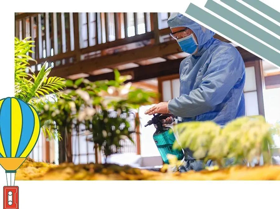 一定要去打卡的网红游乐项目,怎么打造特色游乐网红打卡乐园