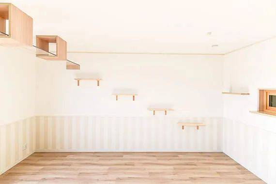 猫奴的春天！日本这家公司专门打造出「猫奴公寓」，每一处设计都超贴心