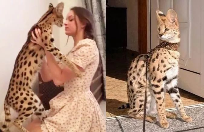 世界上珍贵的瞬间,世界上最珍贵的都是用心感受到的