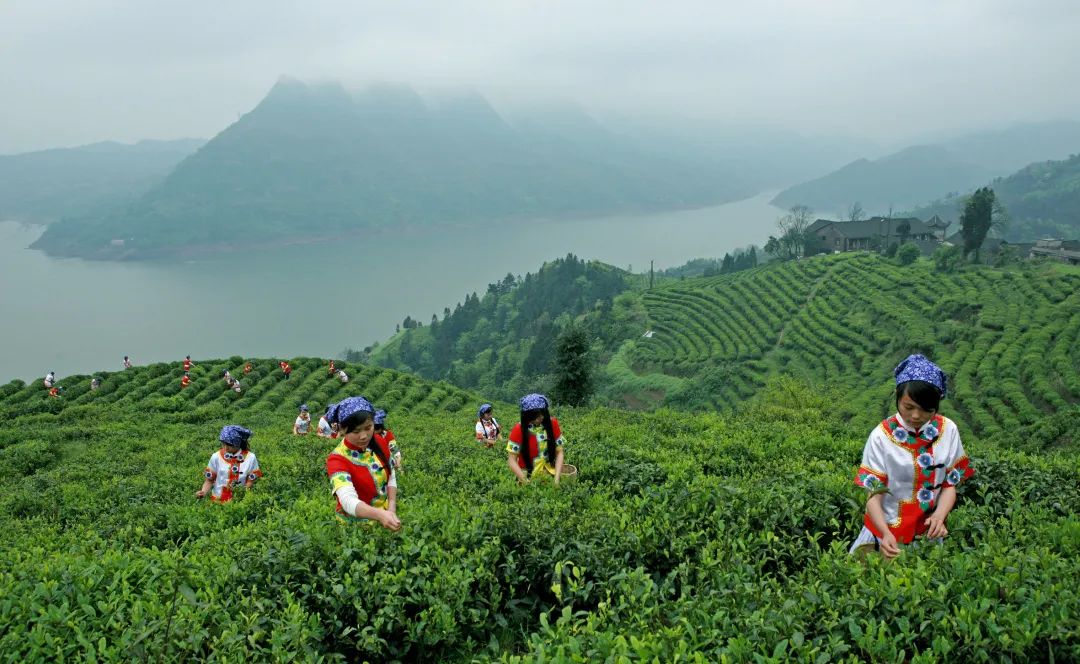 “气候好产品”第三弹：舌尖上的气候密码