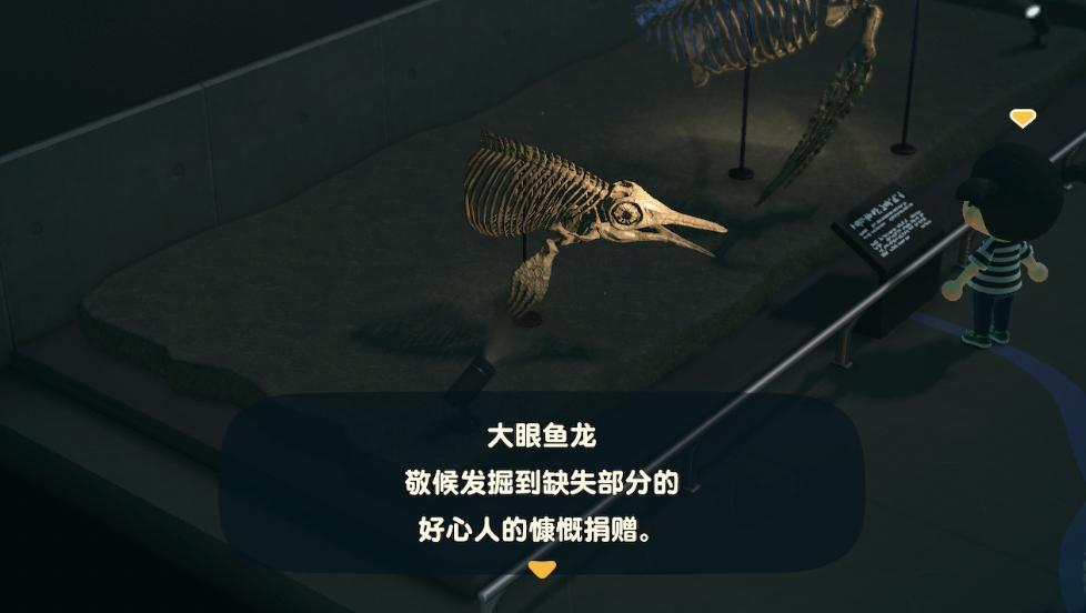 动物森友会玩些什么,动物森友会能2人用一个switch玩么