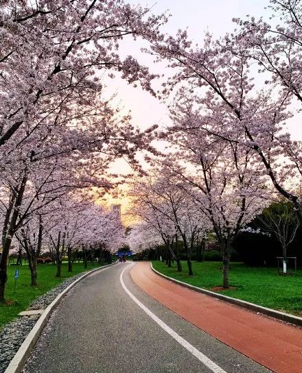 康道健身步道,健身步道起始站