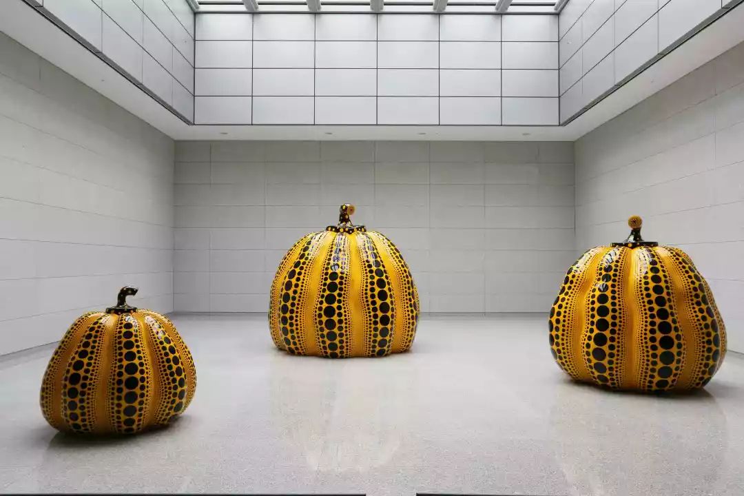 日本在世当代艺术家,日本当代艺术家太阳花