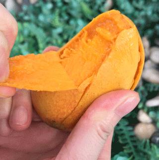 小台农贵妃芒哪个口感好,小台芒香甜滑嫩甜而不腻