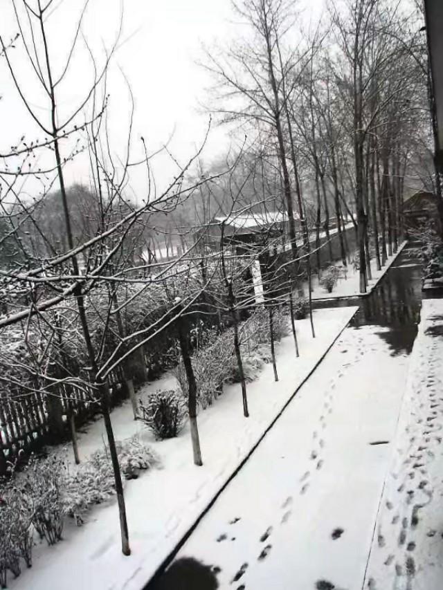 回忆我的母校三矿中学,三原南郊中学历史