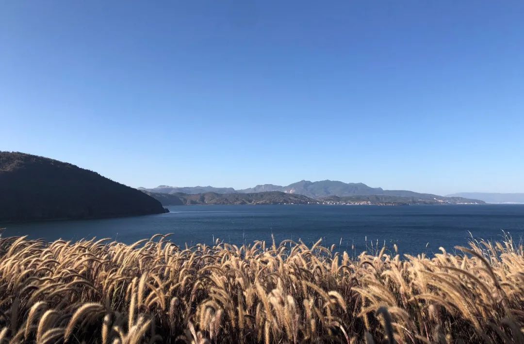 龙湖抚仙湖星空小镇景观设计,抚仙湖星空小镇山顶度假美学馆