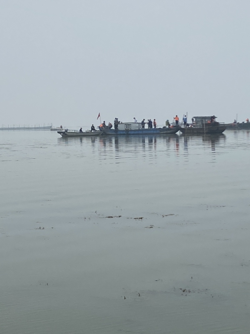 骆马湖秋季鲫鱼,骆马湖最大鲫鱼