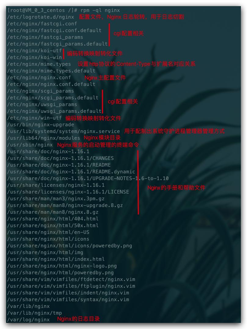 nginx教程全面讲解,nginx零基础入门