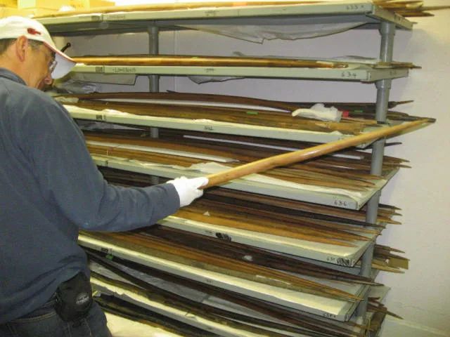 鍙よ鐢靛奖閲岀殑鐢ㄨ吙灏勭,鍙よ鐢靛奖灏勭鍔ㄤ綔