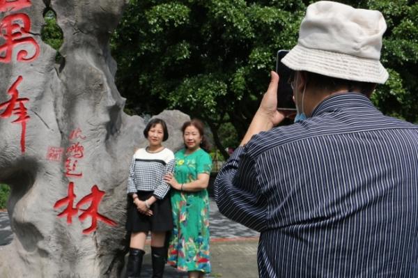 万峰林最近拍的吸引人的景点,贵州万峰林旅游打卡点