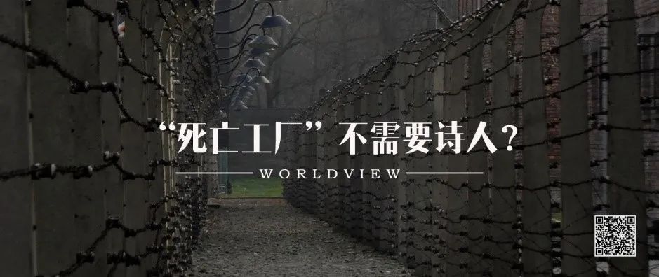 跨国婚恋行业,跨国婚恋骗子套路深