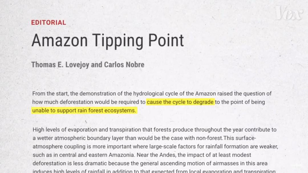 三个月砍掉20个曼哈顿,一年砍掉一个国家,亚马逊已经到了最危急的时候