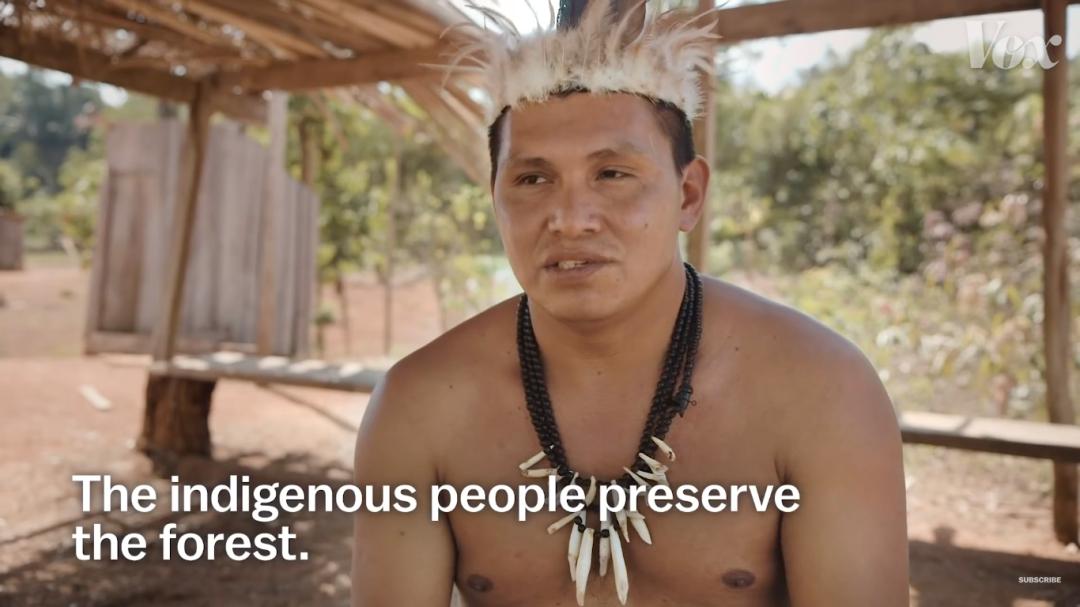 三个月砍掉20个曼哈顿,一年砍掉一个国家,亚马逊已经到了最危急的时候