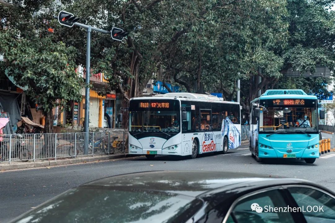 look这是什么牌子的包包,严浩翔说look这是tnt什么舞台