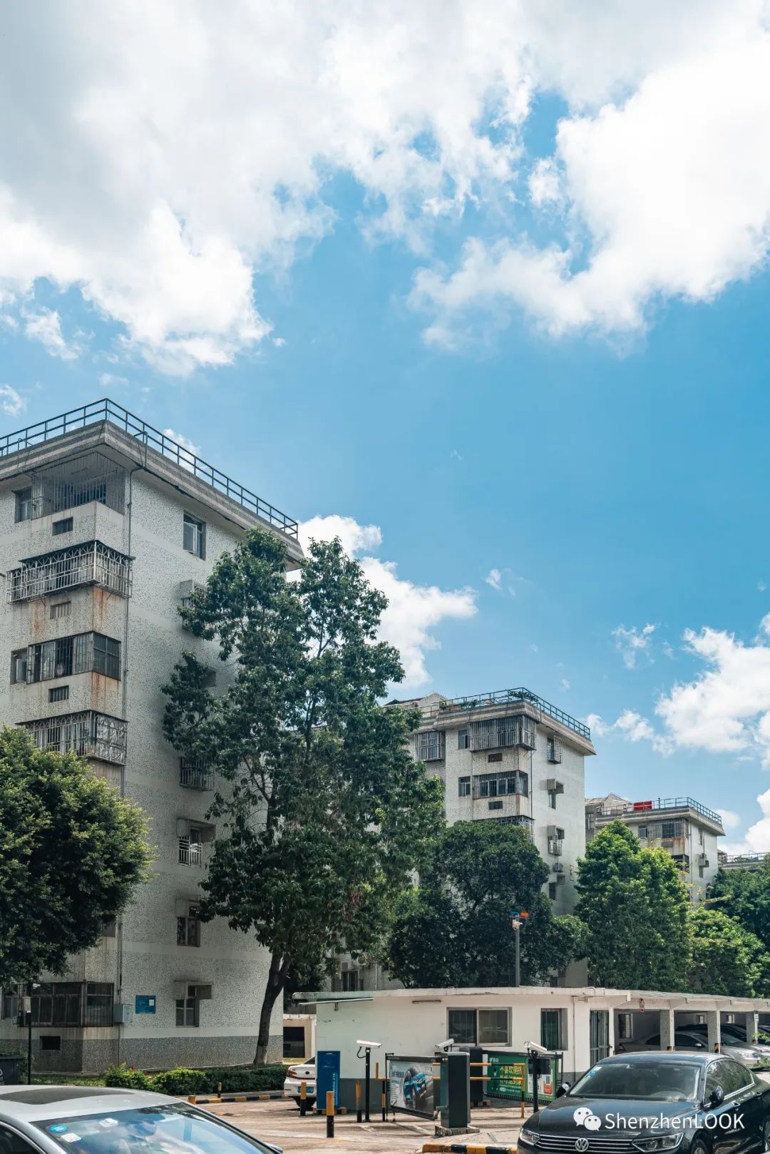 look这是什么牌子的包包,严浩翔说look这是tnt什么舞台