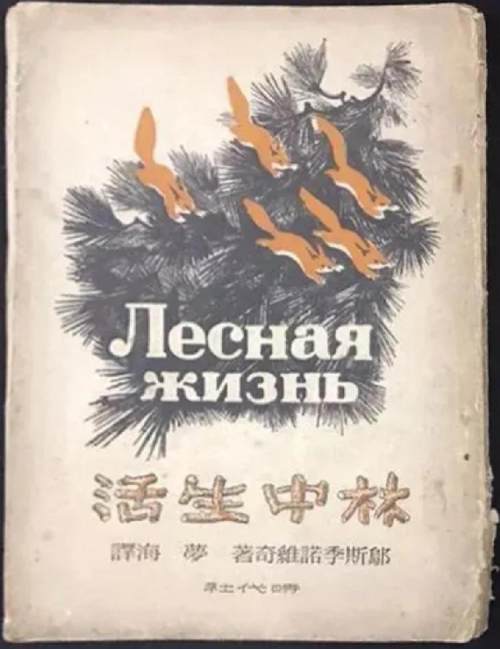 璇枃璇炬湰涓殑缇庨,鑸屽皷涓婄殑灏忓璇炬枃涓殑缇庨