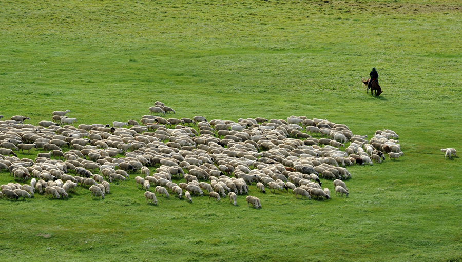 中国食谱中的内蒙古硬菜,内蒙古硬菜100道